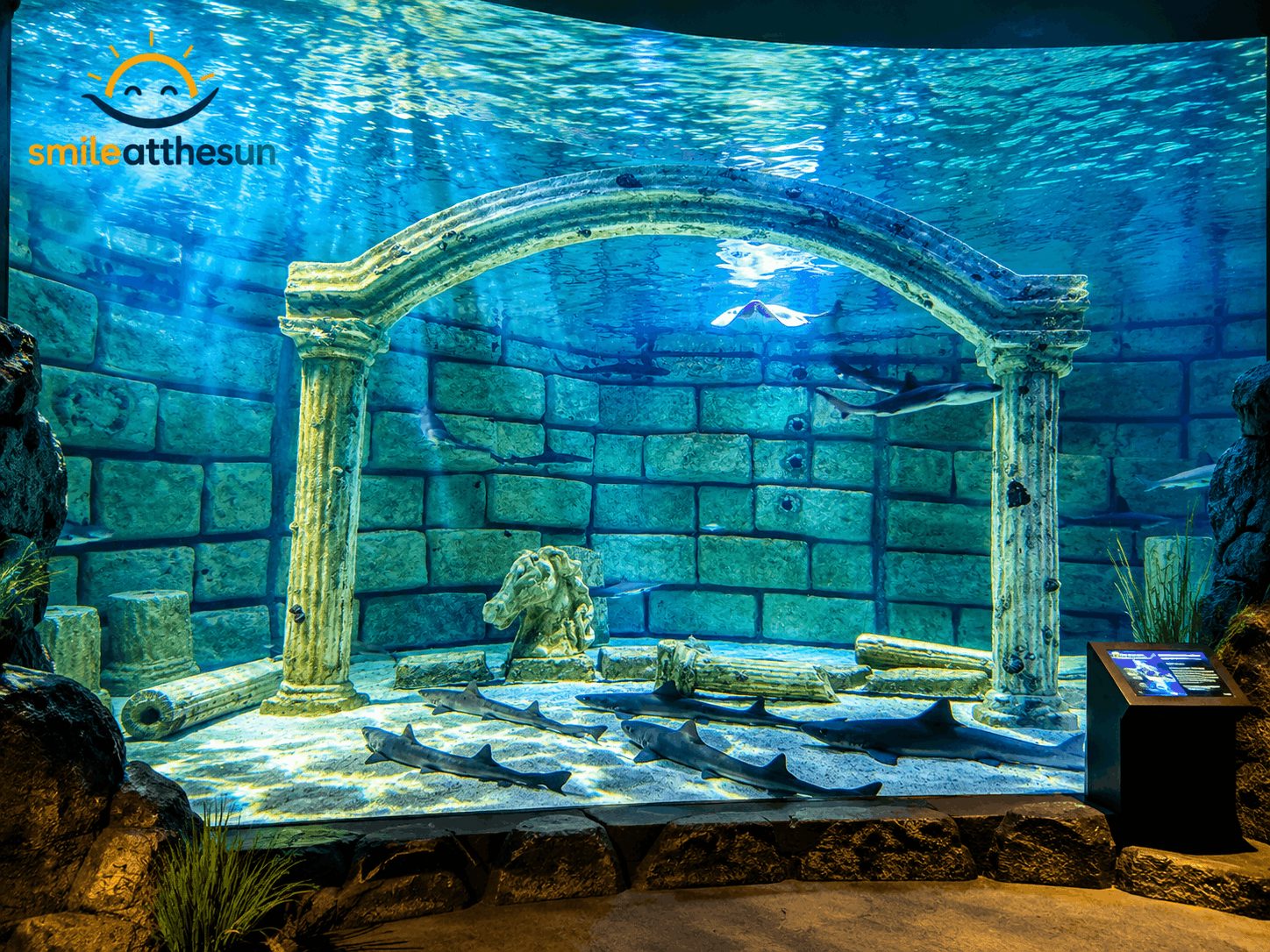 Antalya Aquarium Tour with Hotel Pickup and Combo Options thumbnail