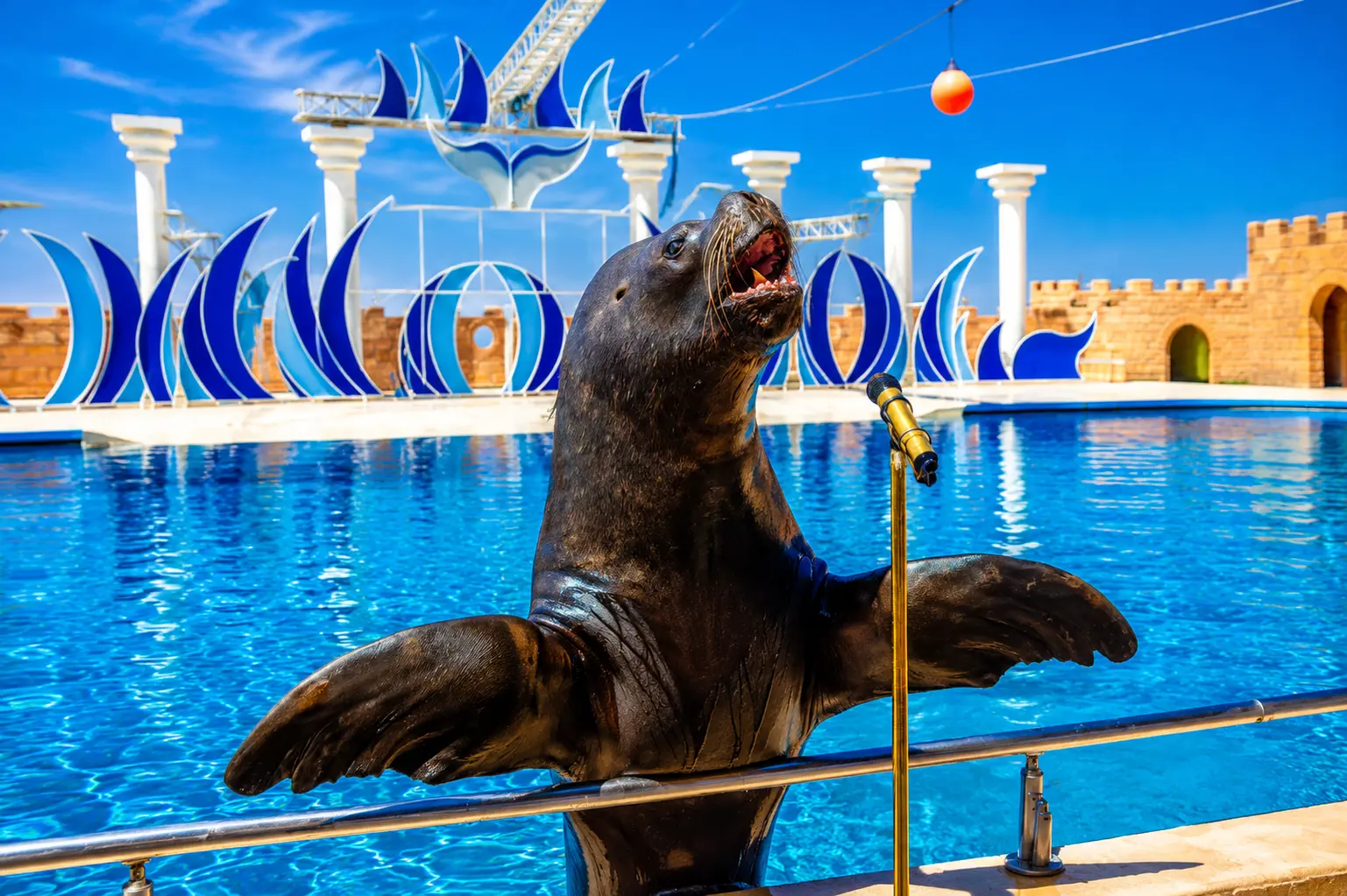 Sealanya Dolphin Show Tour from Alanya & Side | Transfer Included thumbnail