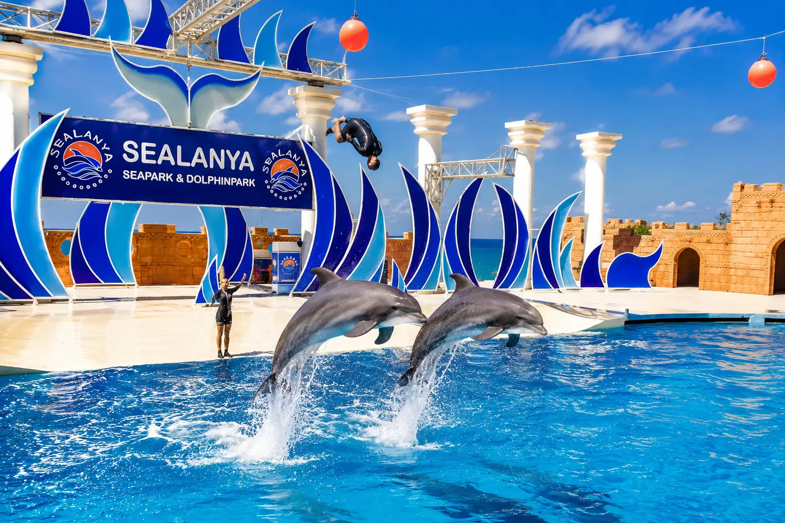 Sealanya Dolphin Show Tour from Alanya & Side | Transfer Included thumbnail