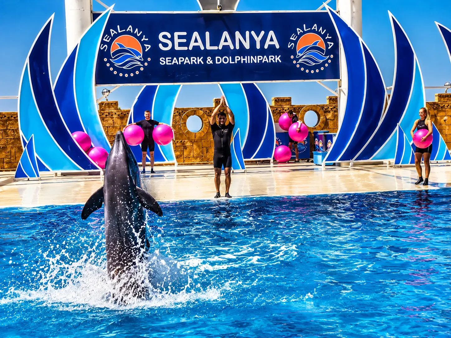 Sealanya Dolphin Show Tour from Alanya & Side | Transfer Included thumbnail