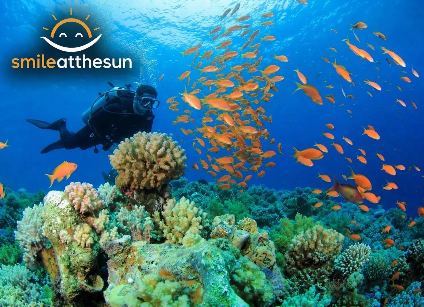 Marmaris Diving Adventure – Lunch, Transfer and Professional Guide Included thumbnail