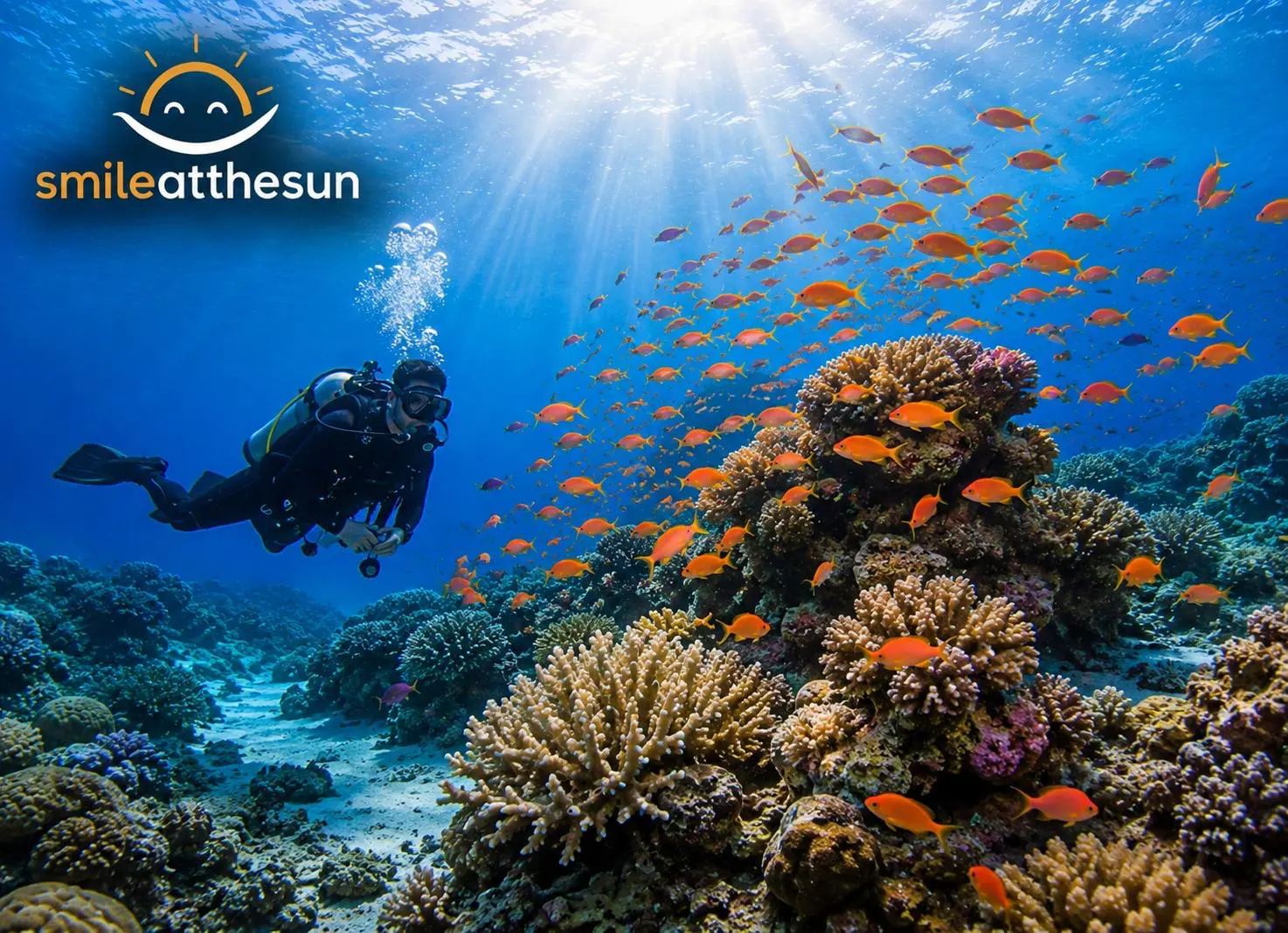 Marmaris Diving Adventure – Lunch, Transfer and Professional Guide Included thumbnail