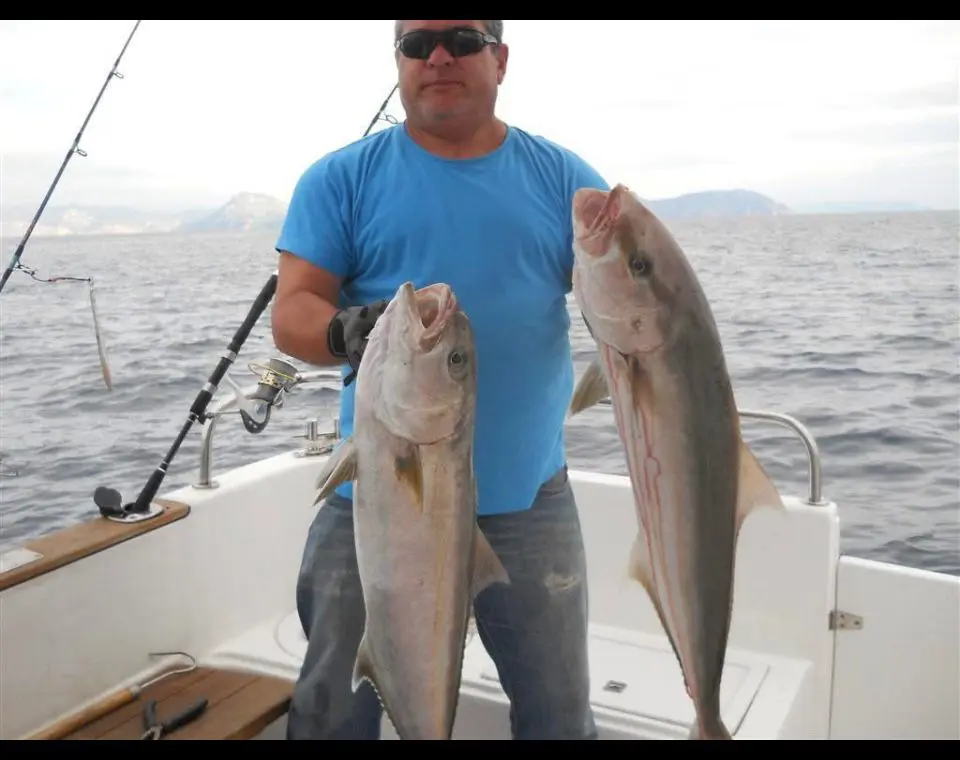 Marmaris Fishing Trip | Hotel Pickup Included thumbnail